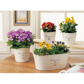 K-E I Green House French Tin Natural Tin Pot Oval Large White 3141-A