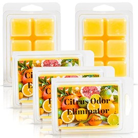 The Candle Daddy Citrus Odor Eliminator Scent - Maximum Scented Wax Cubes/Melts- 5 Packs -10 Ounces Total- 30 Cubes