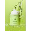 HANYUL Ginkgo Leaf Pore Tightening Peptide Pad 60P Set (+10P)