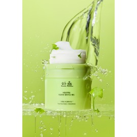 HANYUL Ginkgo Leaf Pore Tightening Peptide Pad 60P Set (+10P) - [SET] Pad 60P (+10P)