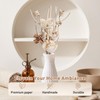 12 Pcs Flower Diffuser, Reed Diffuser Sticks Set, Flower Diffusers