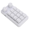 12 Keys Small Keyboard with Dual Knobs and RGB Light