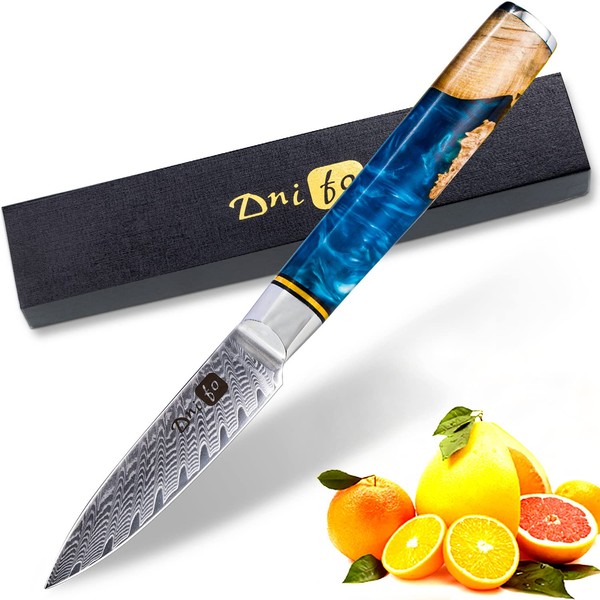 Dnifo Classic Paring Knife 3.5 Inch, Damascus Steel Japanese Knife - Sharp Fruit Knife for Peeling, Cutting, and Slicing - Non-Stick Blade and Anti-Rusting Forged Cutlery Knife