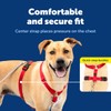 PetSafe Sure-Fit Harness - Maximum Adjustability - Soft Padded Straps
