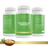 Lily Green | Boswellia Serrata 3360mg per Serving | 90