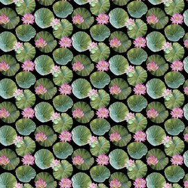 Northcott Water Lilies DP25059 99 Black Lilipads