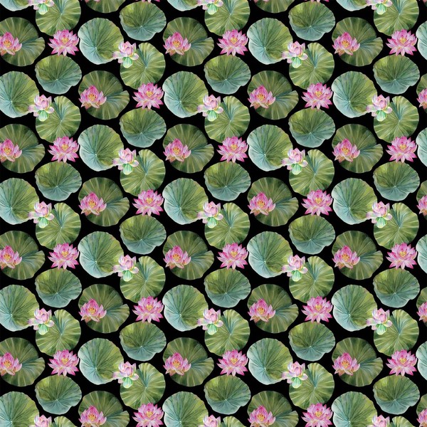 Northcott Water Lilies DP25059 99 Black Lilipads