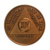44 Year Bronze AA (Alcoholics Anonymous) - Sober / Sobriety