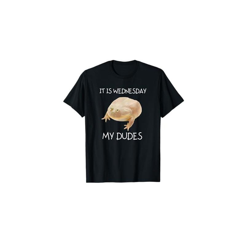 It Is Wednesday My Dudes T-Shirt