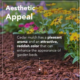 Peach Country Premium Cedar Chips (2 Cu. Ft.) - Cedar Mulch for Landscaping Areas, Home Gardens, Potted Plants and More. A Natural Way to Help Increase Curb Appeal and Reduce Bugs Around Your Home.