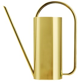 Chemlliy Watering Can for Indoor Plants, 50 oz/1.5L Stainless Steel Watering Can Pot with Long Spout, Garden Watering Cans with Comfortable Handle for Indoor House Plants Bonsai Flower Decorative