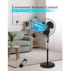 BLACK+DECKER 18-Inch Stand Fan with Pedestal Base, Height Adjustable Pedestal