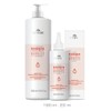 Revivre Exence density shampoo, skin bath invigorating and invigorating (200