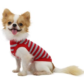 LOPHIPETS 100% Cotton Striped Dog Shirts for Small Dogs Chihuahua Puppy Clothes Tank Vest-Red and Gray Strips/XL