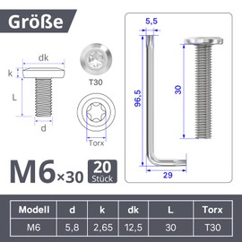 Dayalo Screws M6 x 30 mm, Flat Head Screw Stainless Steel A2 V2A, Torx Screws, Machine Screws with Torx Key, Fully Threaded, Pack of 20
