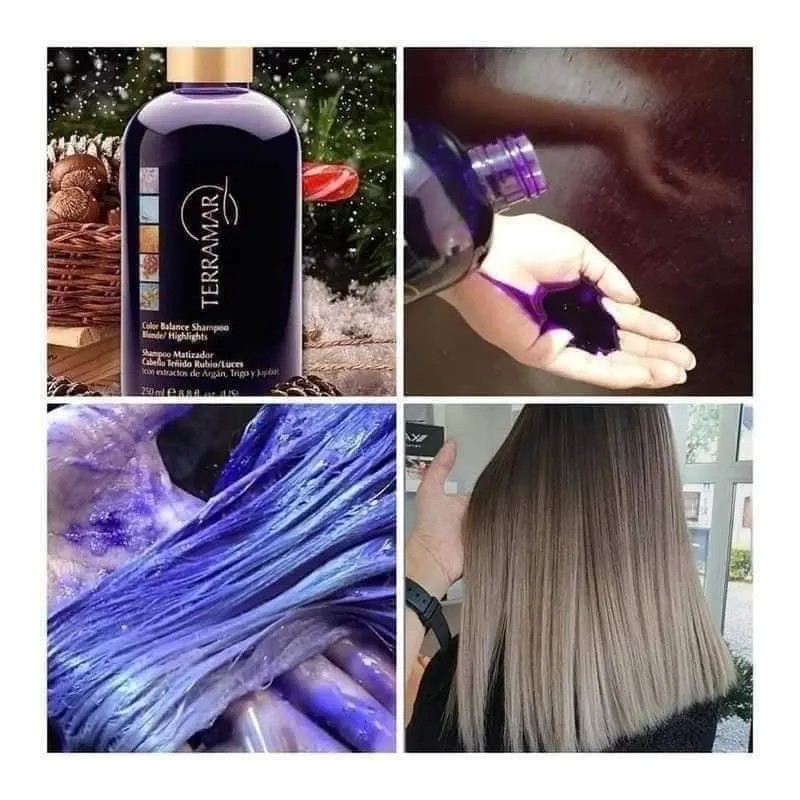 Terramar Shampoo Matizador 250 Ml Para Luces Cabello Teñido
