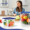 FSUON 4 Pack Clear Food Storage Containers with Lids and