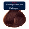 Radico Organic Hair Colour - Mahogany, 100g