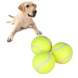 COLLBATH Dog Training Supplies 3 Large Tennis Balls Interactive Toys for Dogs Chewing Teething