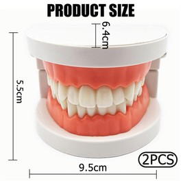 Zahnmodell Kinder Gebiss Modell 2Pcs Zahnpflege Modell Demonstration Tool Zähne Modell Standard für Lehre, Zähne Dental Demonstrationsmodell Zahnmodell
