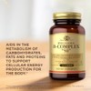 Solgar Megasorb Vitamin B-Complex - 100 Tablets