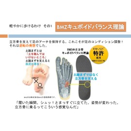 WildBear Acitafu Beyond BMZ Cuboid Balance Insole, Shock Absorption, Posture Support, Sports, Standing Work, Stress Reduction (S)