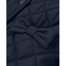 Gymboree Girls and Toddler Dressy Coat, Navy Slate, 8