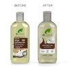 Dr. Organic Shampoo
