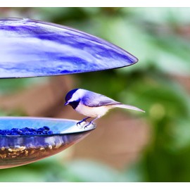 Mosaic Birds M380-200-15 Baffle Dome Bird Feeder Cobalt Blue