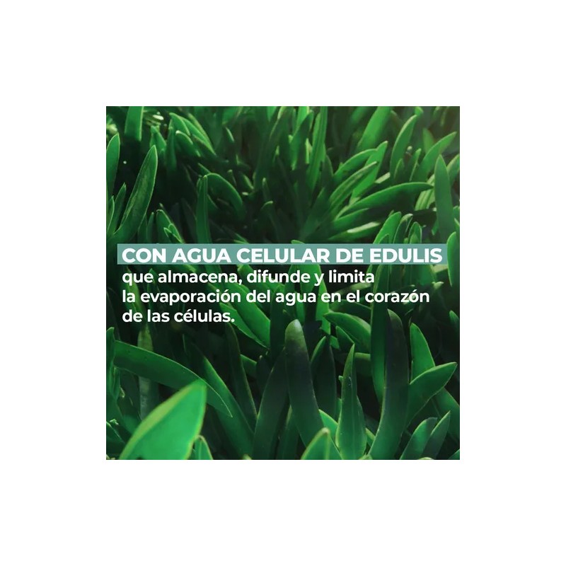 Yves Rocher Mascarilla Facial Hidratante Sos 75 Ml