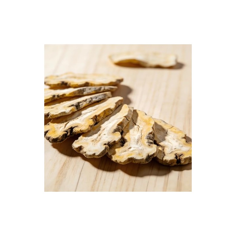 Atractylodes 白术 Atractylodes macrocephala Tea Bai Zhu 150g Rhizoma Atractylodis