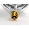 Bulbrite 100G40HM Half Chrome 100W Globe Shape Bulb