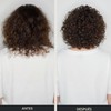 Paul Mitchell Awapuhi Champú, Equilibra la Hidratación y Aporta Brillo,