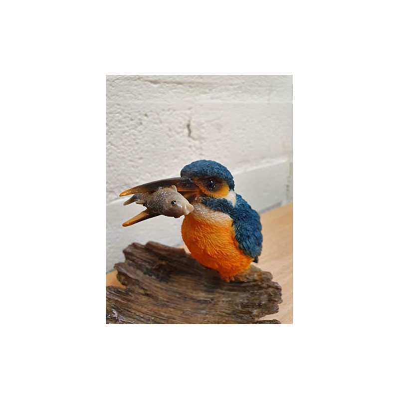 Vivid Arts Kingfisher on Driftwood Home or Garden Decoration (BG-KF08-F)