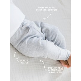 Colored Organics - Cruz Joggers Organic Cotton Baby Pants - Kids & Baby Clothes - Truffle - 18-24M