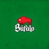 Bufalo 3 BUFALO SALSA CLASICA HOT SALSA 150g (5.29oz) EACH