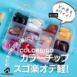 COLORBIRD Nail Tip, Short, 12 Colors, 288 Pieces, Black, Pink, Blue, Sea, Pool, Nail Tip, Simple, Stylish (Ballerina S Glossy)