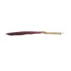 Feather Pen Set with 10 Interchangeable Nib Fire Lacquer Wax