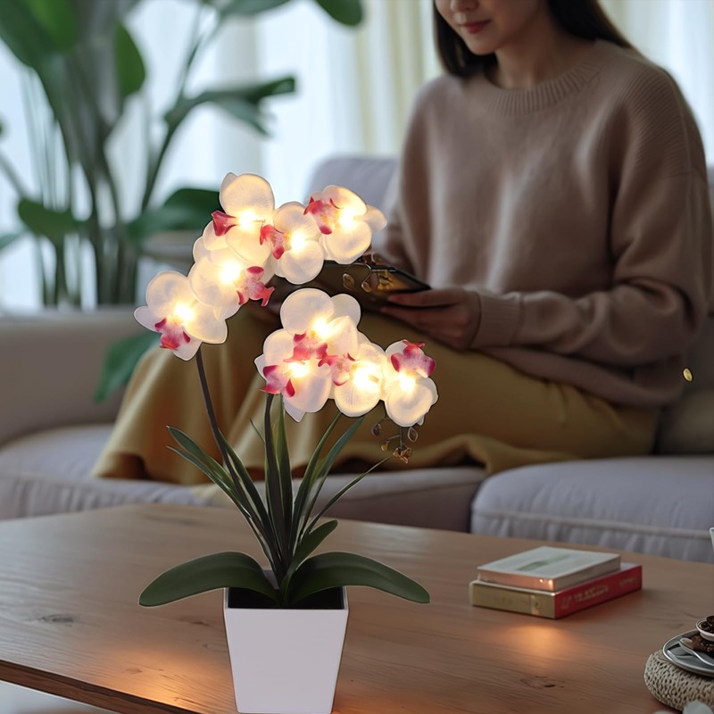 HOMESEASONS Orchid Lamp-LED Lighted Orchid Arrangements,Pre Lit Artificial Orchid,Light Up