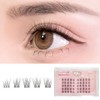 CLEAREYELASH Partial False Eyelashes, Large Capacity, 50 pcs, Korea, Natural,