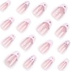 Domiya Nail Tips, 24 Pieces, Ballet, Autumn and Winter, Nail
