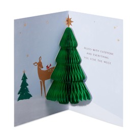 American Greetings Christmas Card (Everyone and Everything)