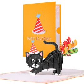 Pop Up Birthday Cards, 3D Birthday Card for Cat Lovers, Funny Cat Birthday Card, Humorous Happy Birthday 3D Card Pop Up Cards for Women Mum Daughter Sister Kids Friends Men