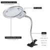Large Lens Table Top Desk Lamp Lighted Magnifier Magnifying Glass