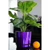 KERD Blumentopf 12 cm, Glänzendes Lila (086), elegant, dekorativ, luxuriös,