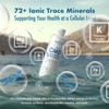 BioTrace Dead Sea Trace Mineral Drops | 72+ Concentrated Trace