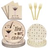 Martini Bow Party Plates Supplies, A Tini Bit Older Birthday