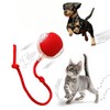 MARDYNUS Speedy Tail 2.0 Cat Toy, 360°Automatic Rolling Ball, Smart