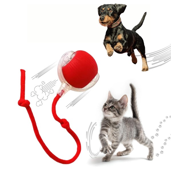 MARDYNUS Speedy Tail 2.0 Cat Toy, 360°Automatic Rolling Ball, Smart