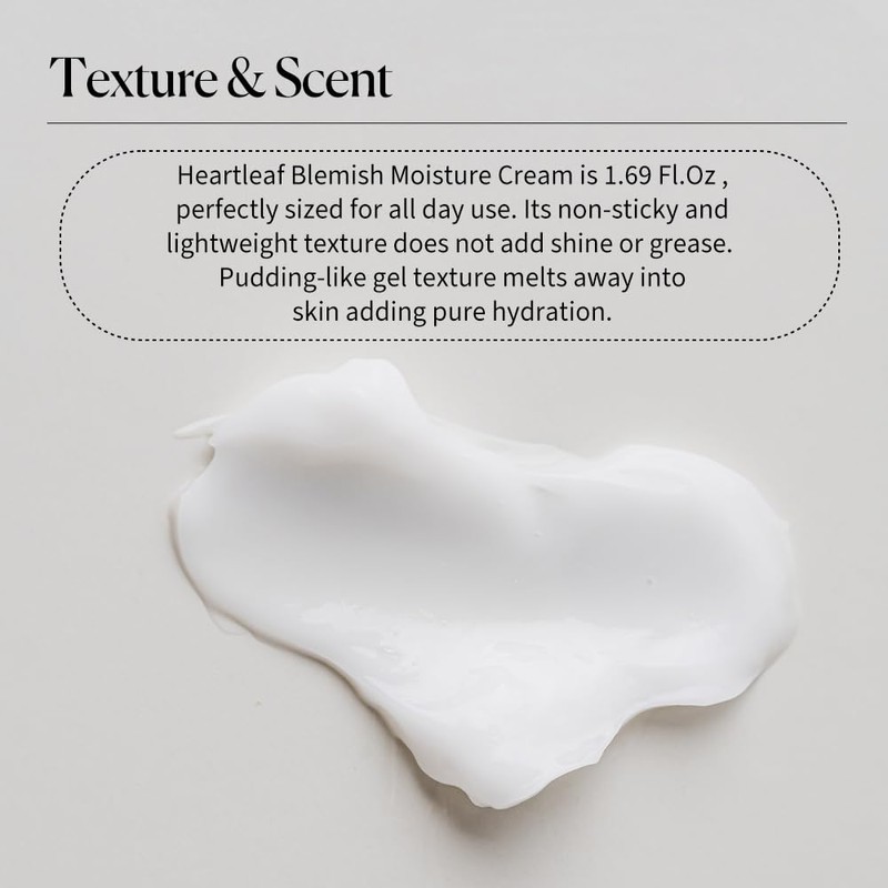 Fraijour Heartleaf Blemish Moisture Cream, 100ml / 3.38 fl. oz.